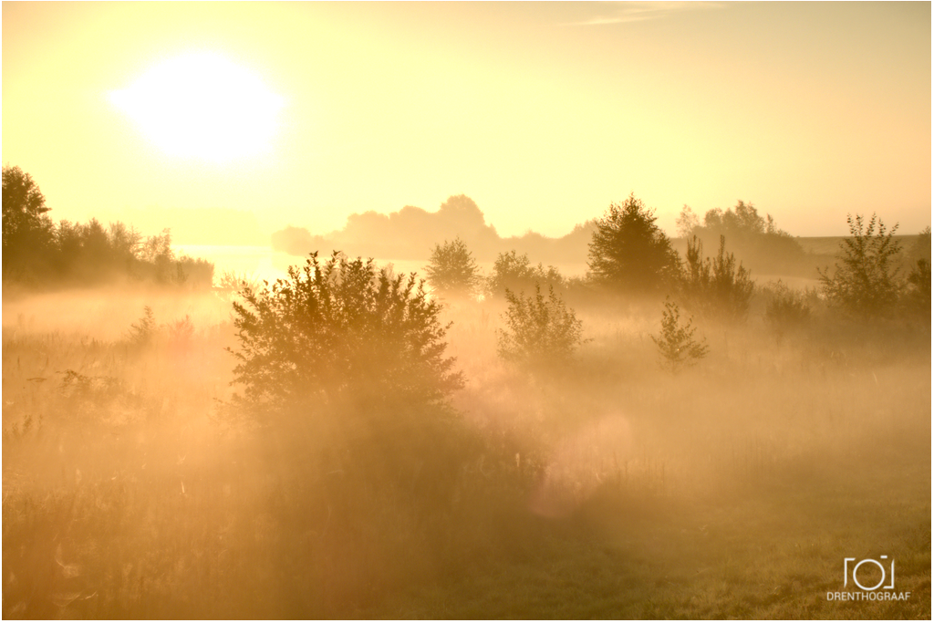 mist ochtend geel zonsopkomst