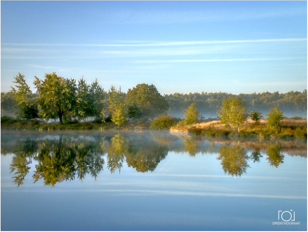 weerspiegeling, water, bomen