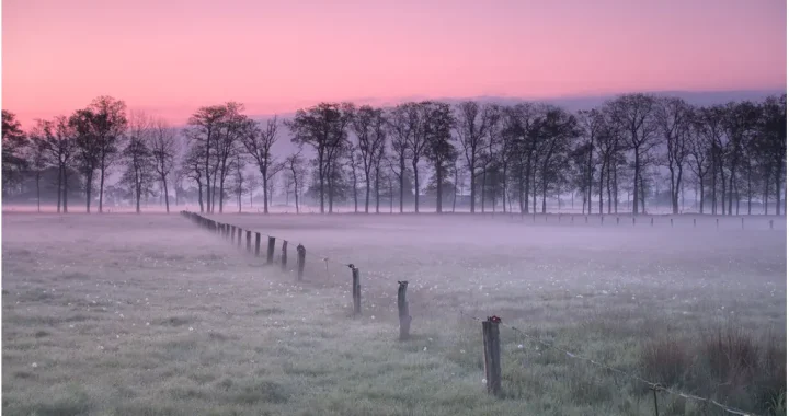 10x beste fotografie beslissingen