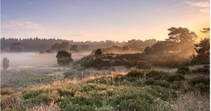 Relief in het landschap met opkomende zon