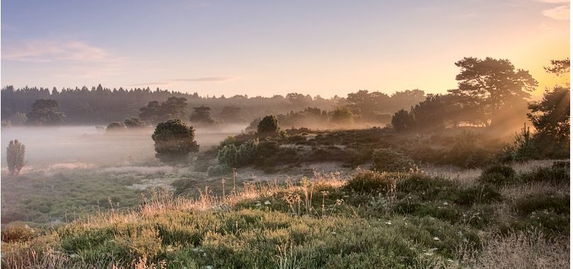 Relief in het landschap met opkomende zon