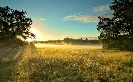 Veld, tegenlicht, zon fotografie