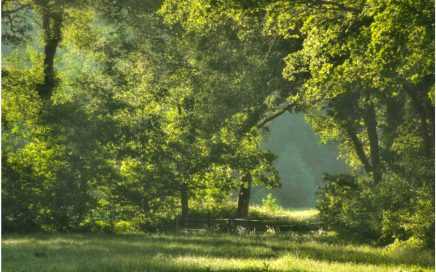 Groen, contrast