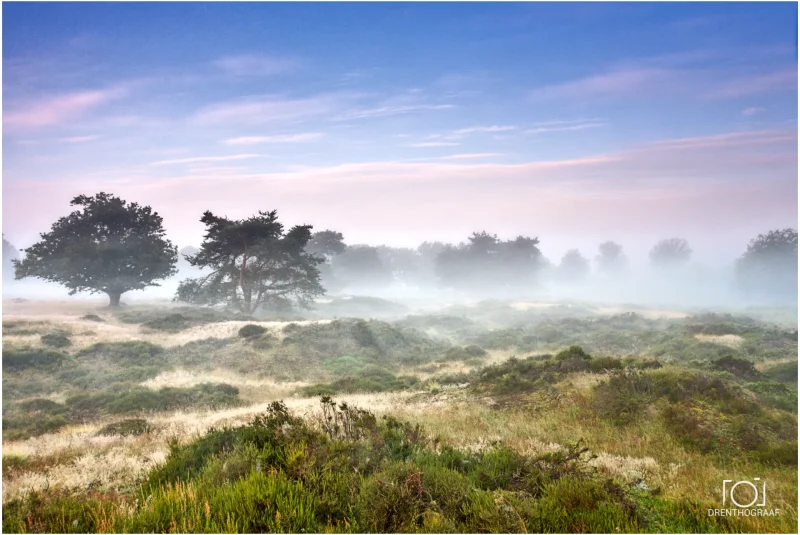 Schitterende ochtend voor landschapsfotografie