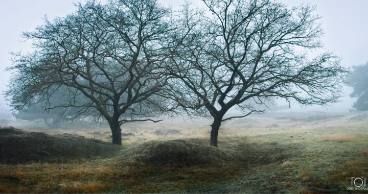 Verweven Silhouetten