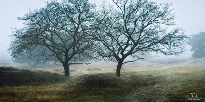 Verweven Silhouetten