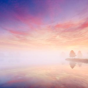 Een dromerige zonsopgang boven een nevelig meer, met pastelroze en paarse wolken, silhouetten van bomen en rustige weerspiegelingen die zorgen voor een serene sfeer.