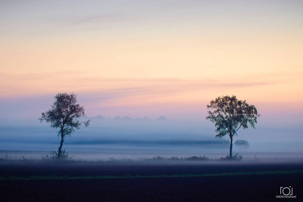 Twee eenzame bomen staan ​​bij zonsopgang in een nevelig veld, waarbij zachte roze en blauwe tinten de lucht boven een donker, mistig landschap kleuren – een beeld van Drenthograaf.