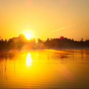Een stralende, gouden zonsopgang verlicht een kalm meer, waaruit nevel opstijgt, met een donkere bosrand die zich als silhouet aftekent tegen de heldere ochtendhemel.