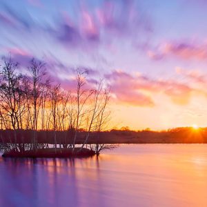 Zonsondergang boven een kalm meer, met silhouetten van bomen die uit het water oprijzen, oranjeroze gloeiende wolken en fel paarse weerspiegelingen; een serene sfeer.
