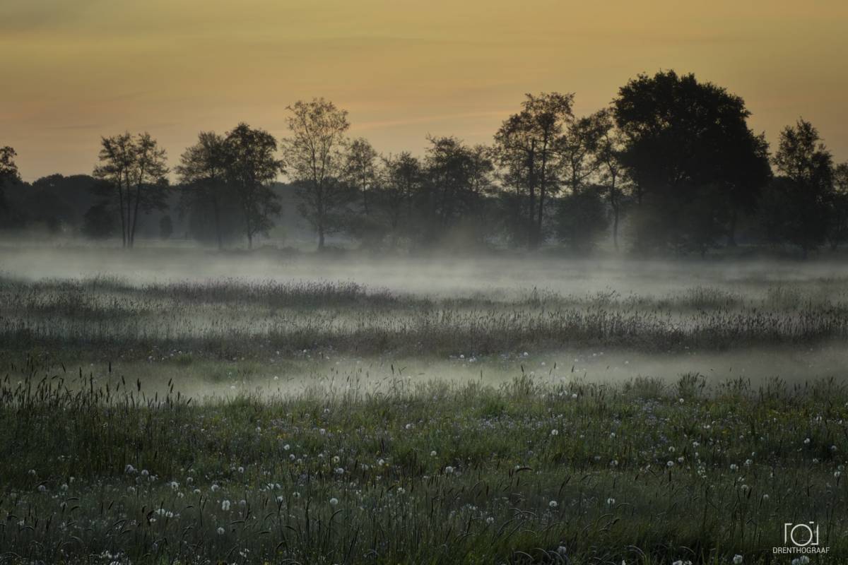 Flarden mist in de ochtend