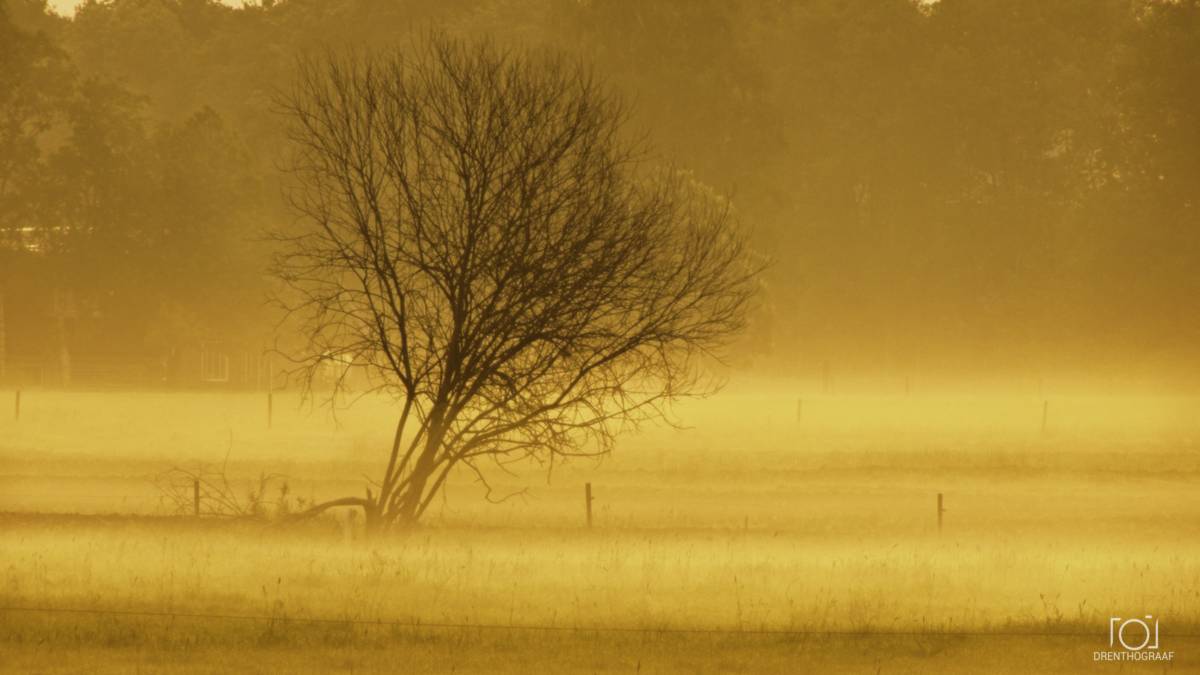 Leunen naar het licht