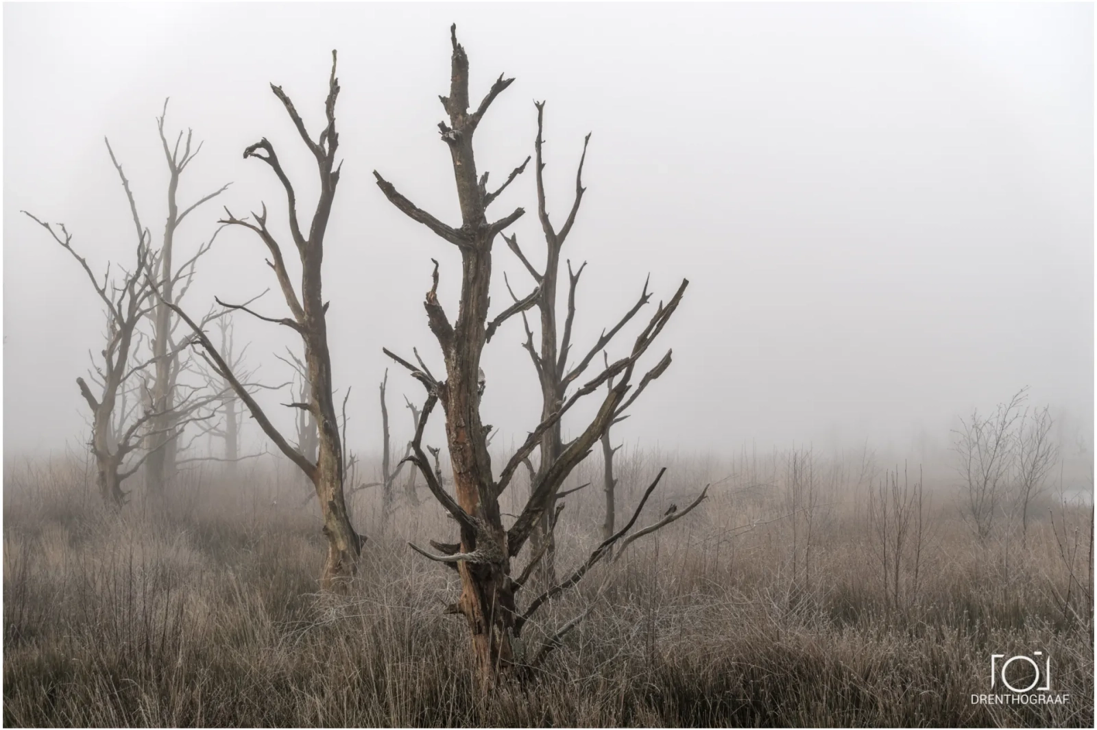 Samen is niet alleen