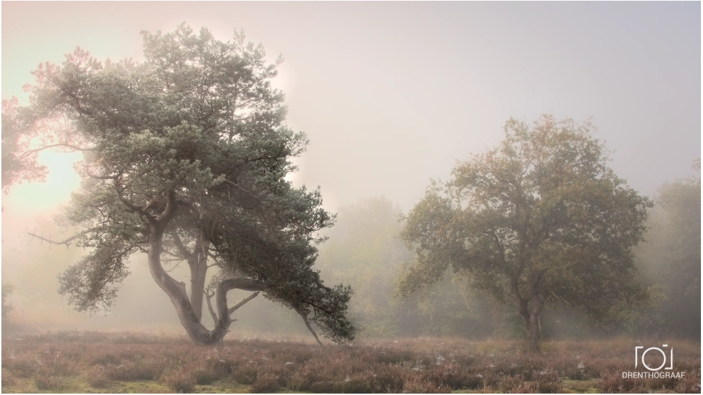 Schilderen met licht
