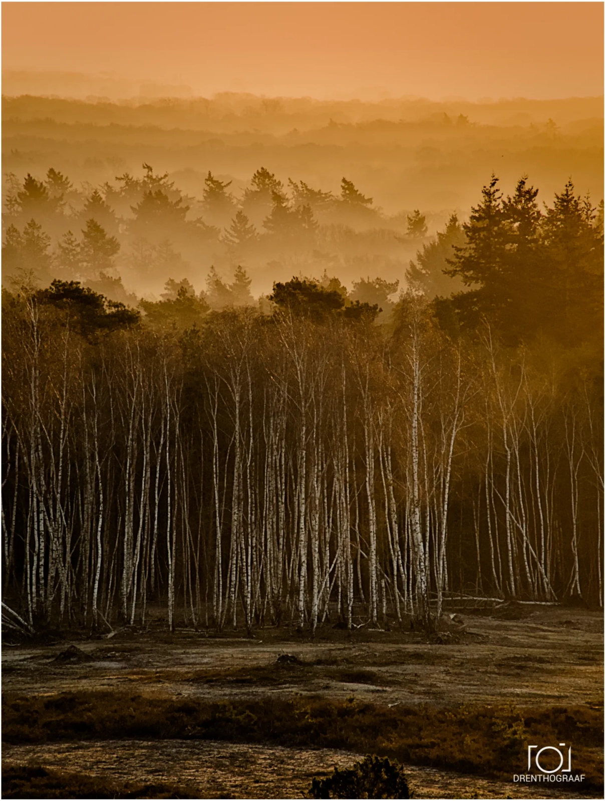 Tot hier en niet verder