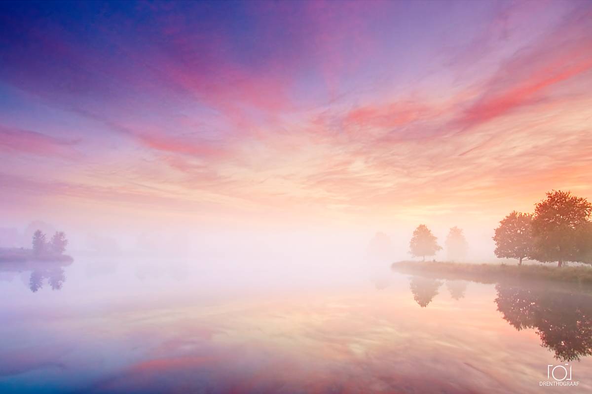 Een dromerige zonsopgang boven een nevelig meer, met pastelroze en paarse wolken, silhouetten van bomen en rustige weerspiegelingen die zorgen voor een serene sfeer.