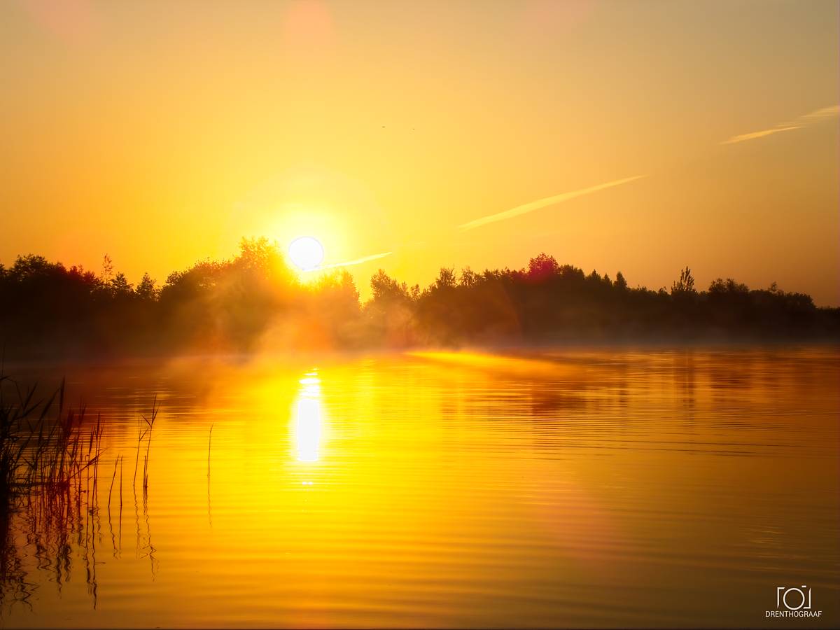 Een stralende, gouden zonsopgang verlicht een kalm meer, waaruit nevel opstijgt, met een donkere bosrand die zich als silhouet aftekent tegen de heldere ochtendhemel.