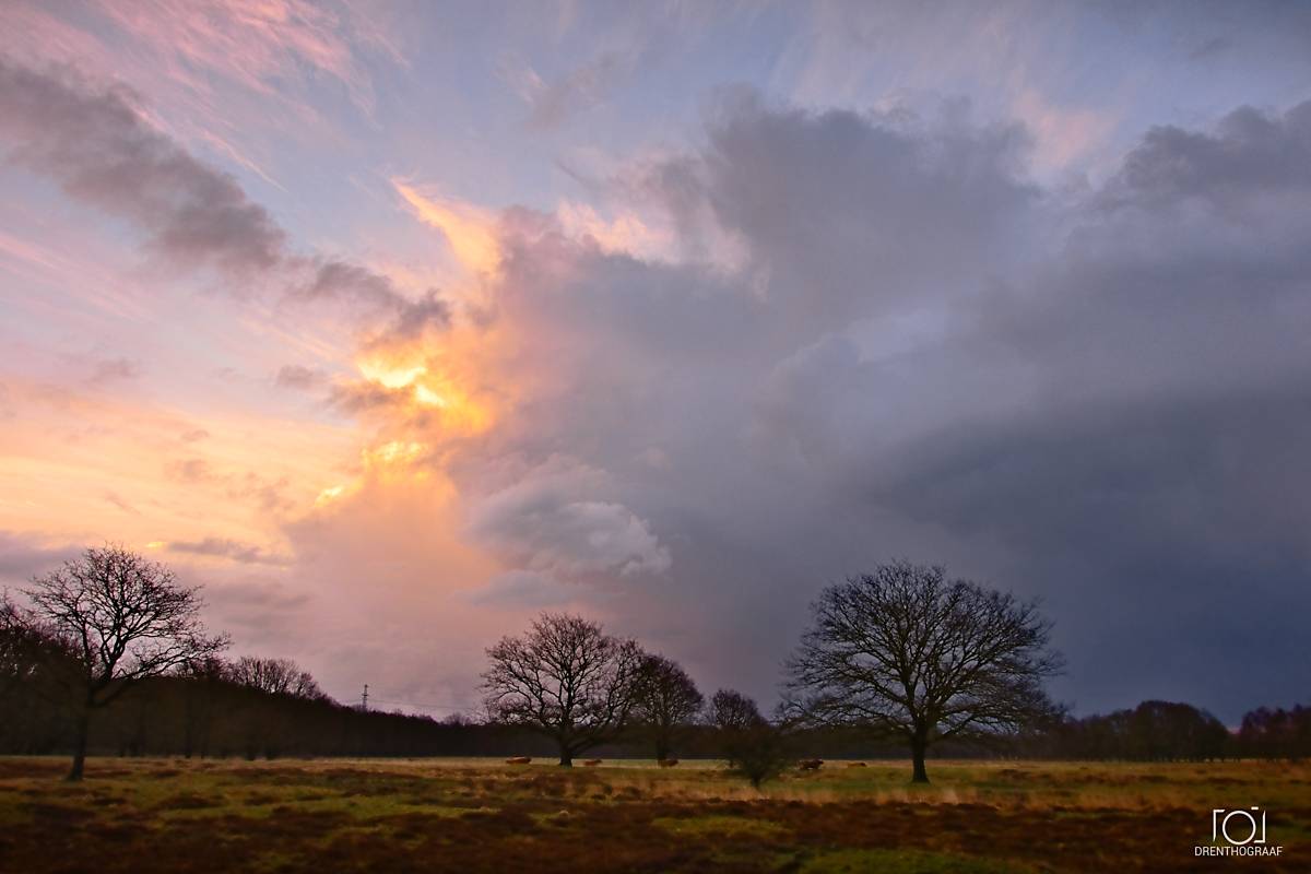 Een spectaculaire zonsondergang boven een grasveld met kale bomen, met een heldere gouden gloed aan de ene kant en zware, donkere stormwolken aan de andere kant.