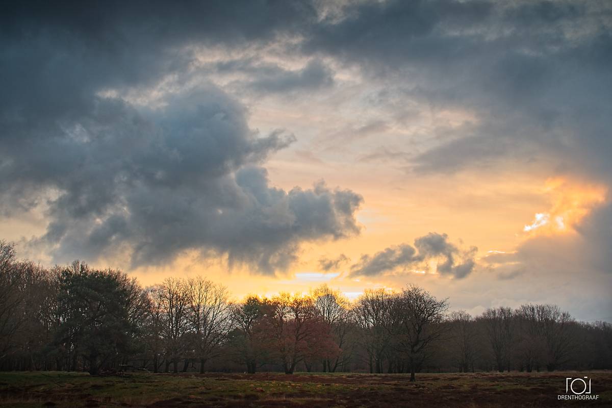 Een dramatische zonsondergang met donkere, zware wolken boven een silhouet van kale bomen en een uitgestrekt, open veld tijdens de winter.