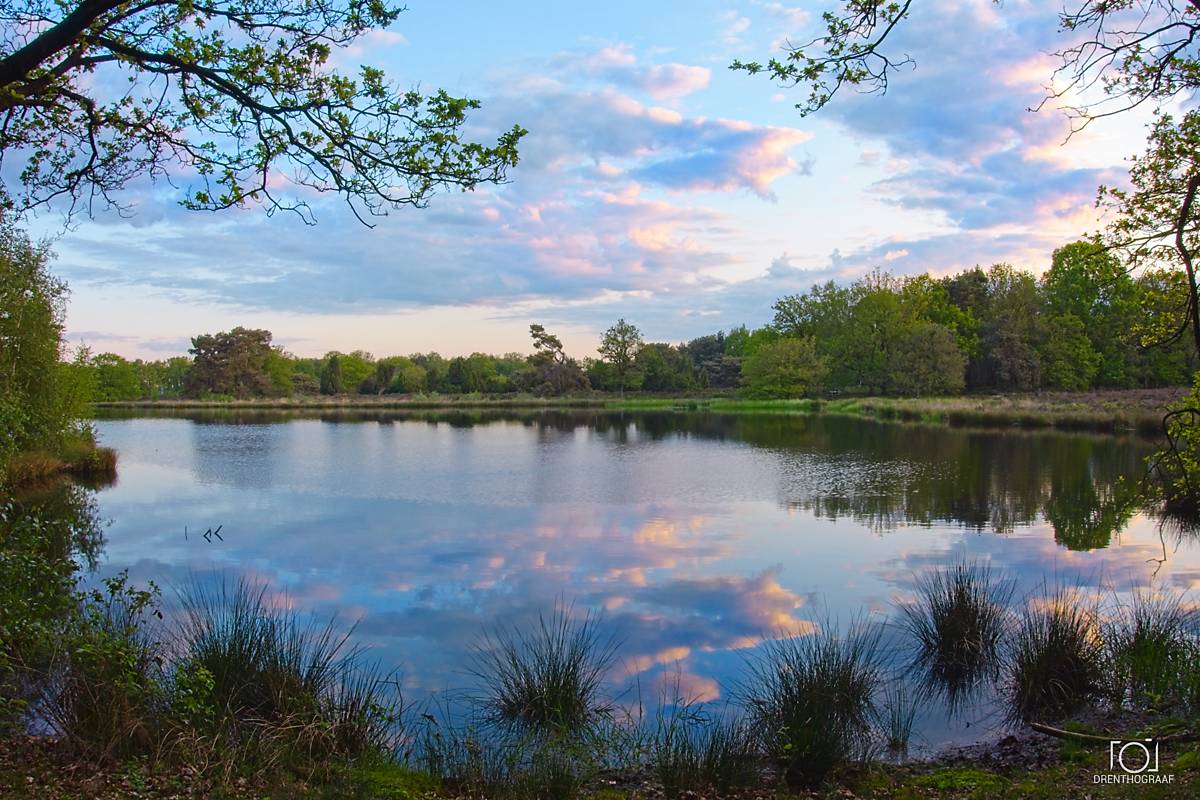 Een sereen meer weerspiegelt een zachte, bewolkte zonsondergang, omlijst door weelderige groene bomen en grasrijke oevers in een vredig, natuurlijk landschap van Drenthograaf.