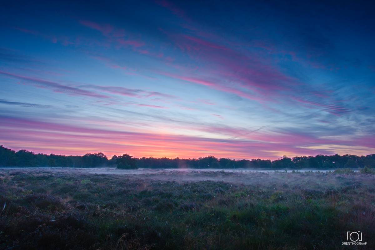 Een levendige zonsondergang met roze en blauwe wolken boven een nevelig, donker heidelandschap, met een verre bomenrij onder een dramatische, kleurrijke lucht.