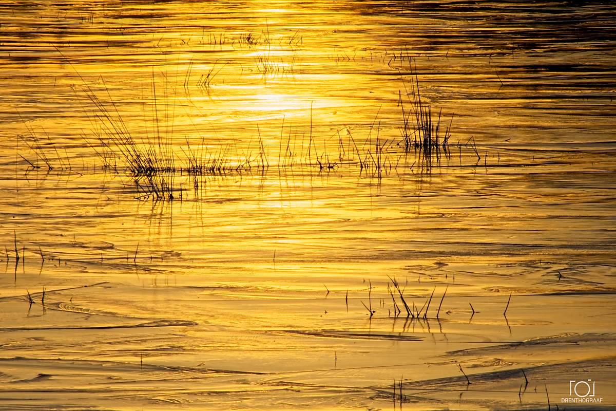 Een gouden zonsondergang weerkaatst op een bevroren, gestructureerd meeroppervlak, waar dunne, donkere rietstengels uit het ijs tevoorschijn komen, vastgelegd door Drenthograaf fotografie.