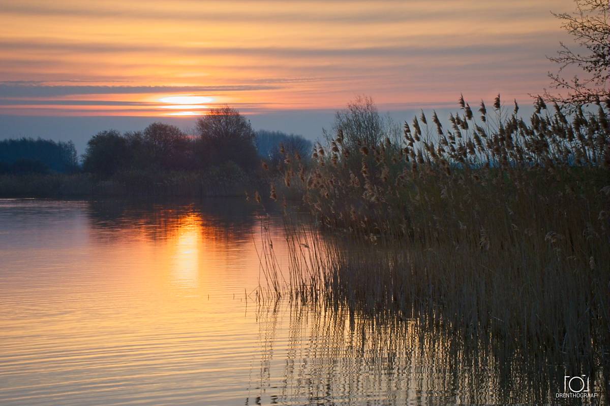 Een serene zonsopkomst boven een kalm meer met hoge rietstengels op de voorgrond en donkere silhouetten van bomen tegen een warme, oranje getinte hemel, gefotografeerd door Drenthograaf.