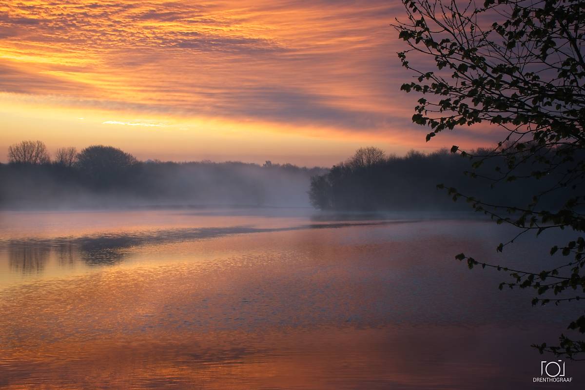 Een sereen meer bij zonsopgang met levendige oranje en roze wolken die in het water weerspiegelen, omlijst door mistige bomen en een silhouet van een tak op de voorgrond.